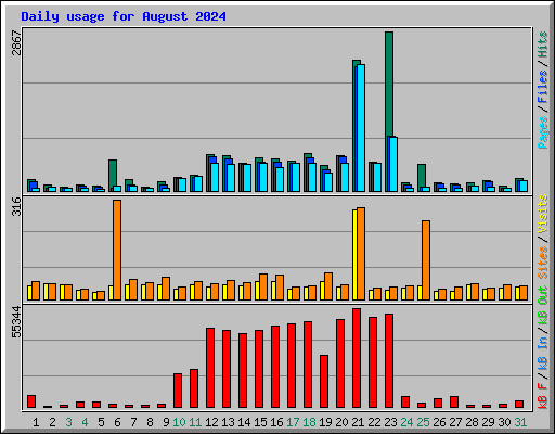 Daily usage for August 2024