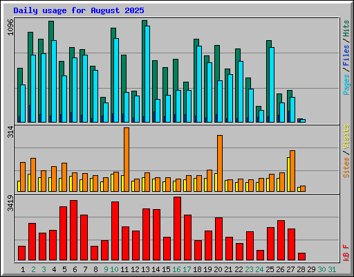 Daily usage for August 2025