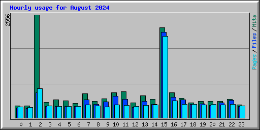 Hourly usage for August 2024