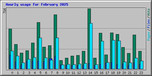 Hourly usage for February 2025