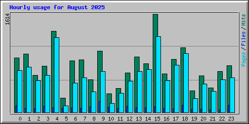 Hourly usage for August 2025