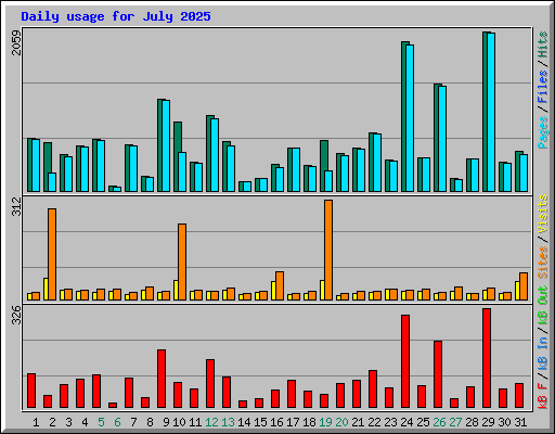 Daily usage for July 2025