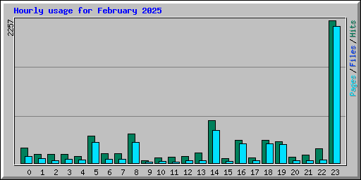 Hourly usage for February 2025